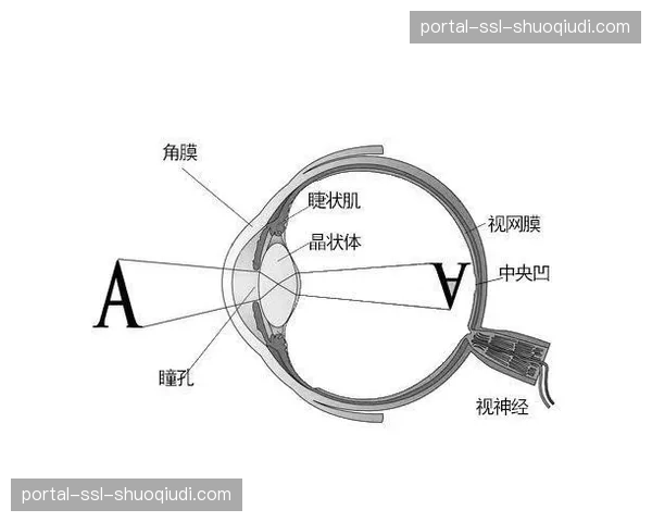 “空间感知的艺术”——跟随战术摄像机，回顾穆夏拉一次经典的肋部突破得分全过程
