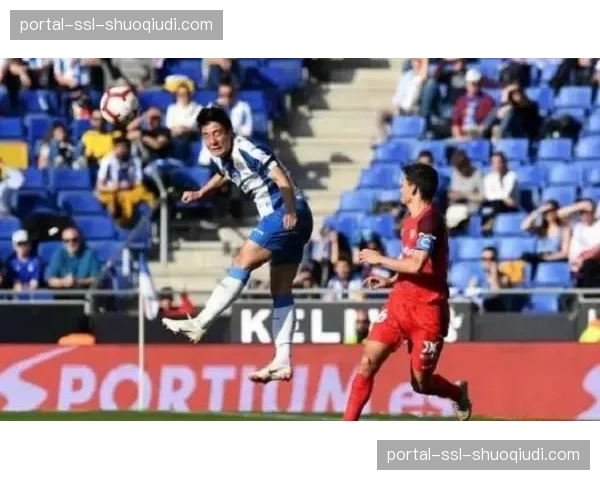 “述评：上赛季总决赛失利，自由人队休赛期引援效果待观察”