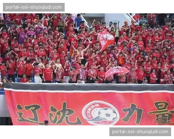 会员制+混合所有制改革：辽宁铁人打造职业体育的辽宁方案